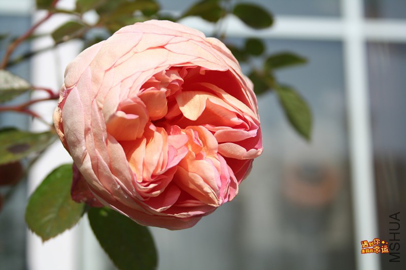 ��Ƭ 111_����.jpg