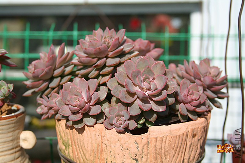 ��Ƭ 113_����.jpg