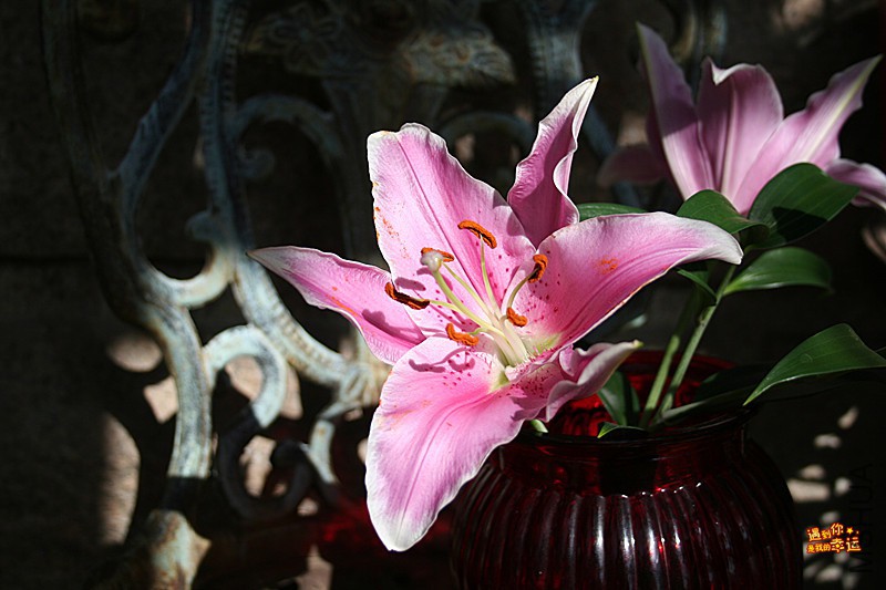 ��Ƭ 005_����.jpg