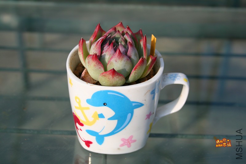 ��Ƭ 173_����.jpg