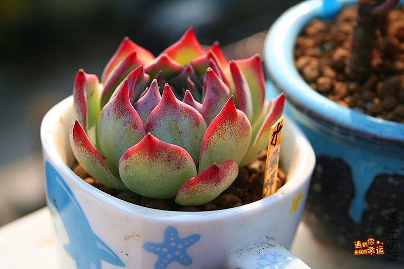 ��Ƭ 177_����.jpg