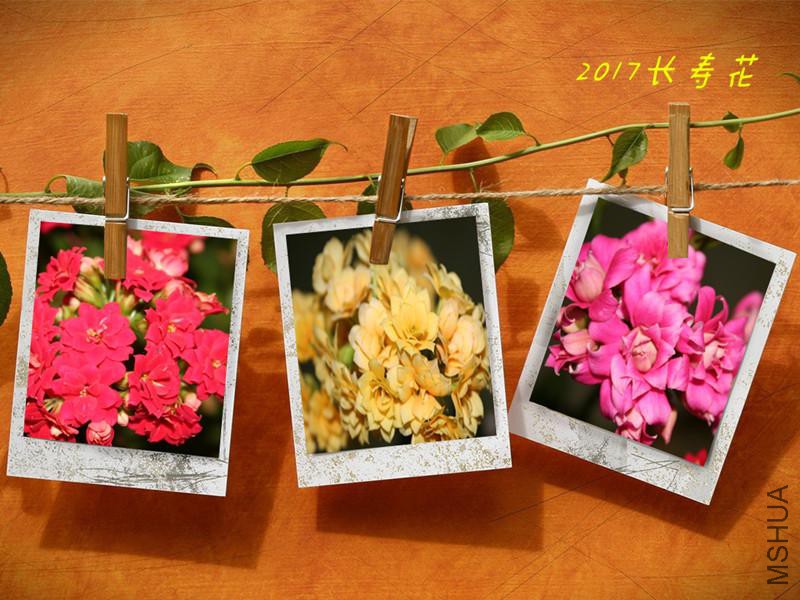 ��Ƭ 042_����.jpg