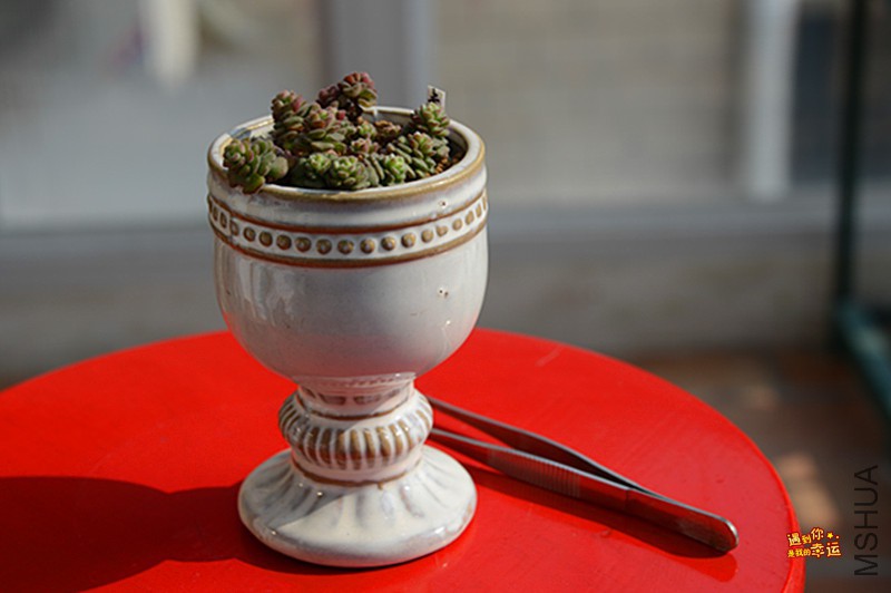 ��Ƭ 134_����.jpg