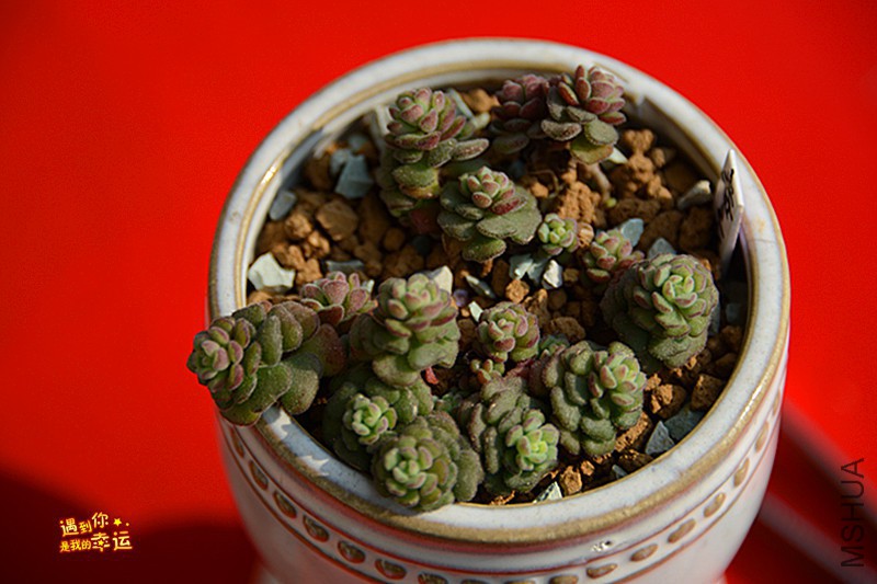 ��Ƭ 137_����.jpg