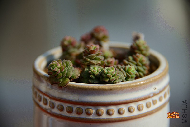 ��Ƭ 139_����.jpg