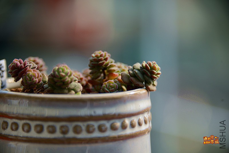 ��Ƭ 143_����.jpg