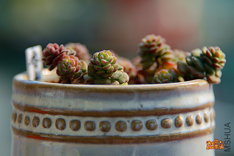 ��Ƭ 144_����.jpg