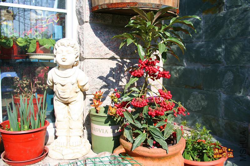 ��Ƭ 088_����.jpg