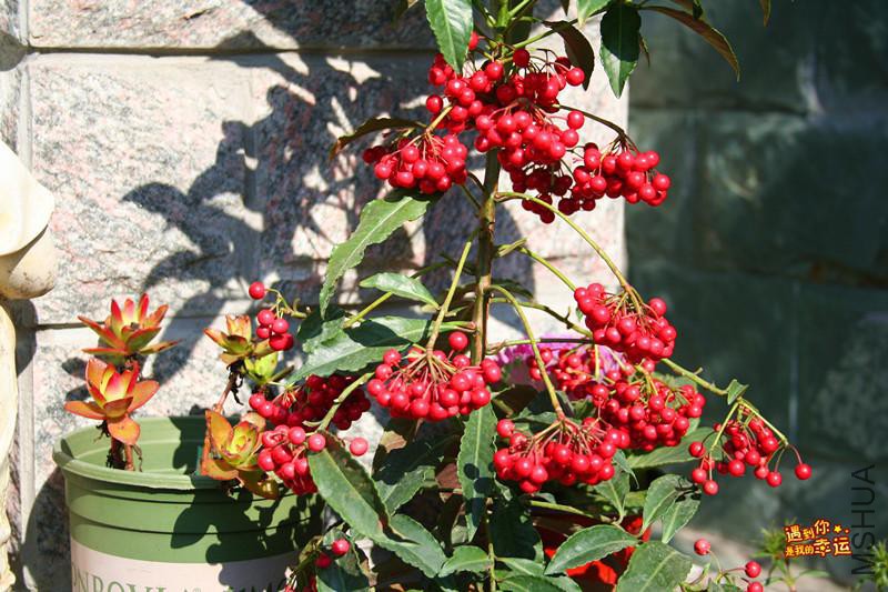 ��Ƭ 090_����.jpg