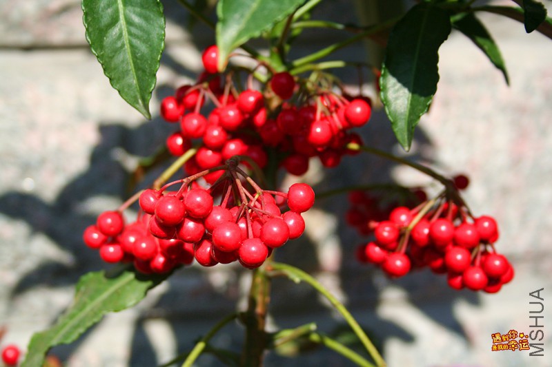 ��Ƭ 092_����.jpg