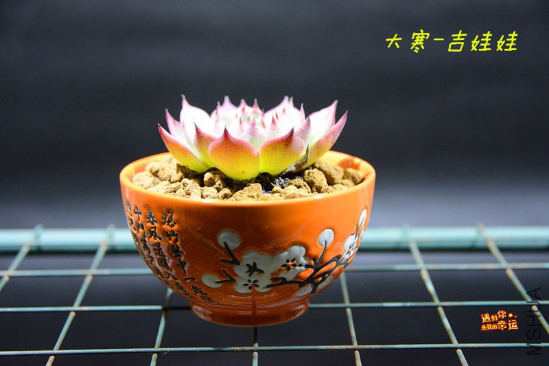 ��Ƭ 001_����.jpg