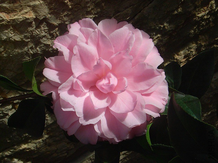 3-ؐ��ؐ����.jpg
