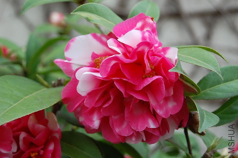 DSC_93650129.JPG