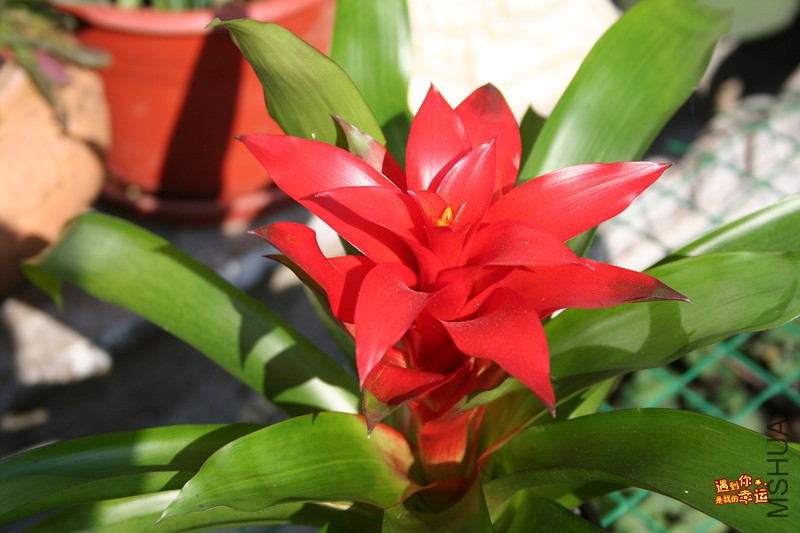 ��Ƭ 201_����.jpg