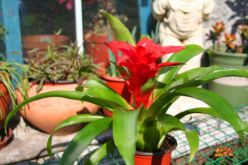 ��Ƭ 199_����.jpg