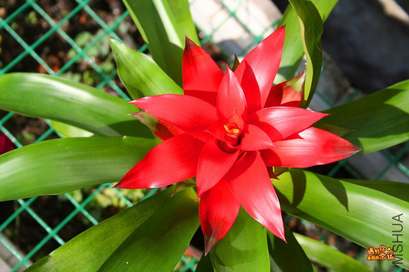 ��Ƭ 204_����.jpg