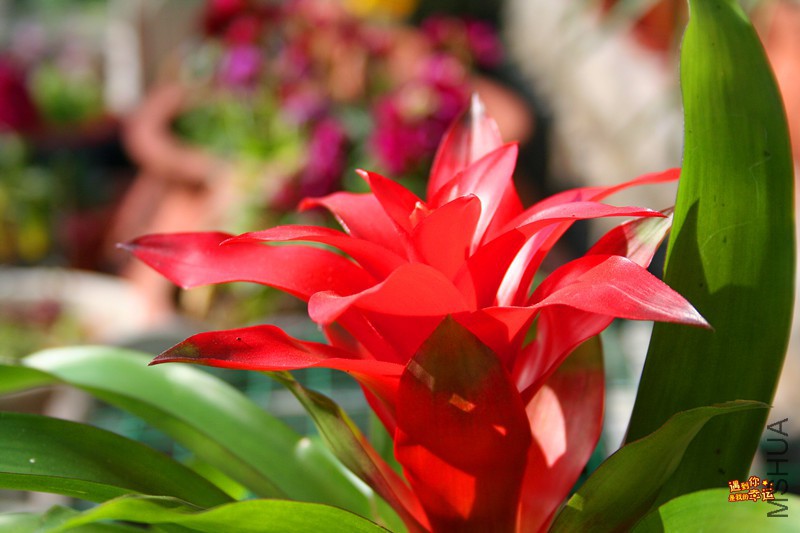 ��Ƭ 205_����.jpg