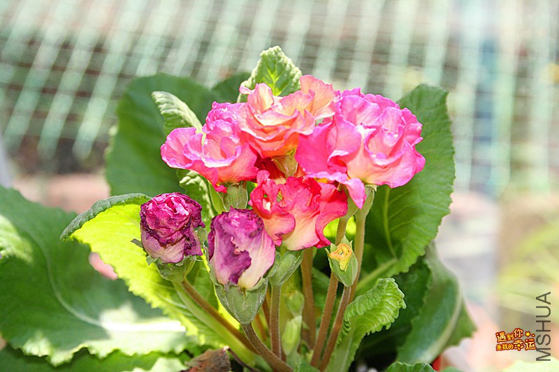 ��Ƭ 037_����.jpg