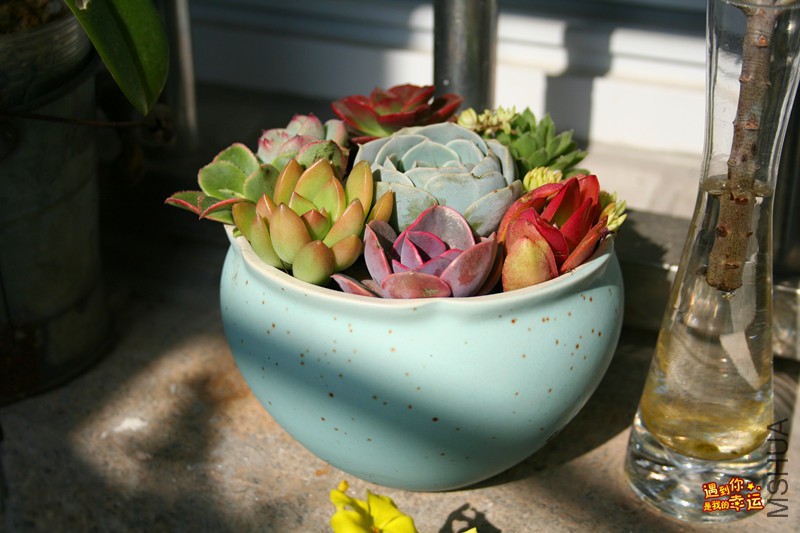 ��Ƭ 055_����.jpg