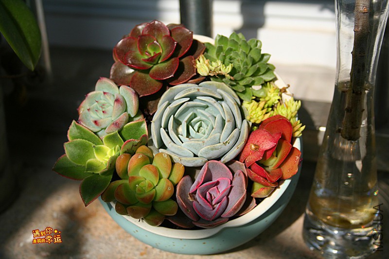 ��Ƭ 056_����.jpg