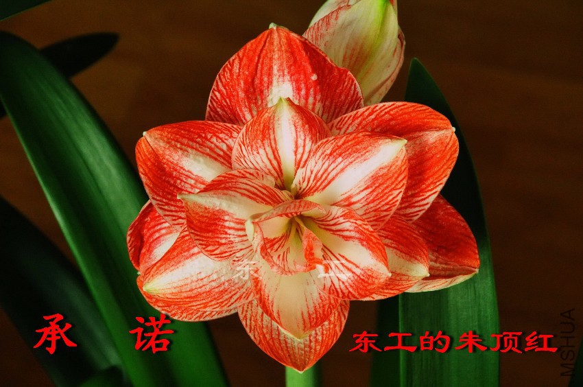 ��ŵ.jpg