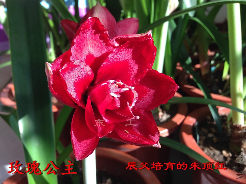 õ�幫��.JPG
