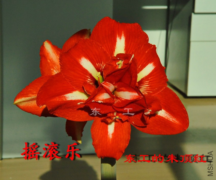 ҡ����.jpg