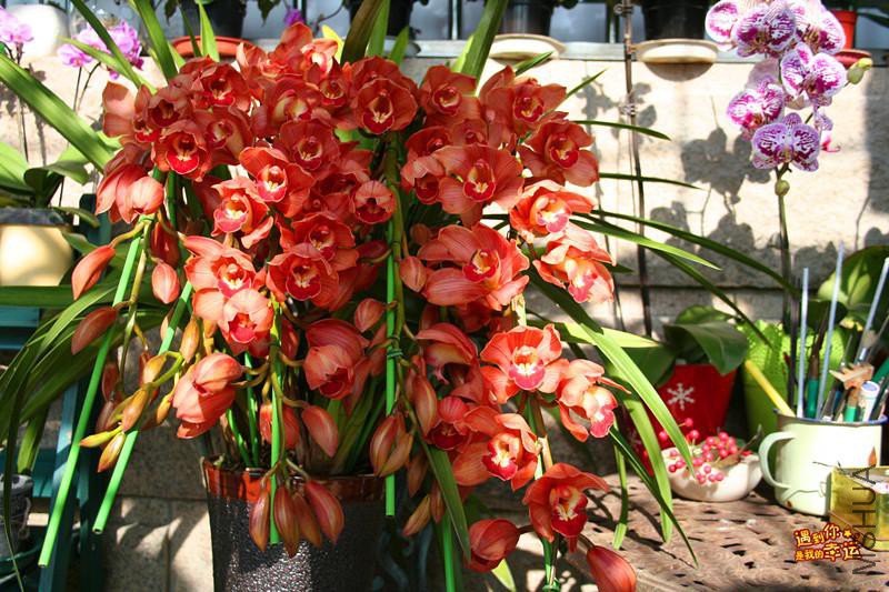 ��Ƭ 002_����.jpg