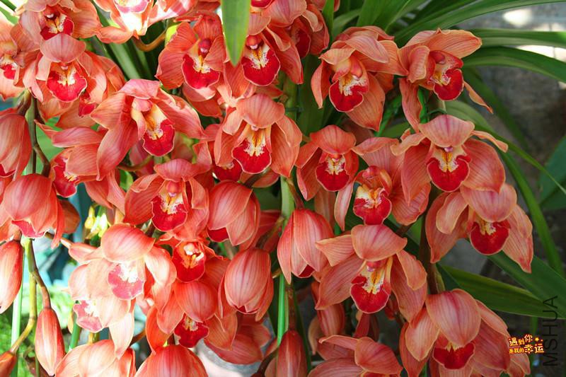 ��Ƭ 005_����.jpg