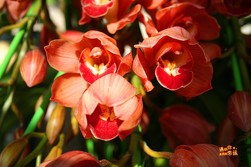 ��Ƭ 006_����.jpg