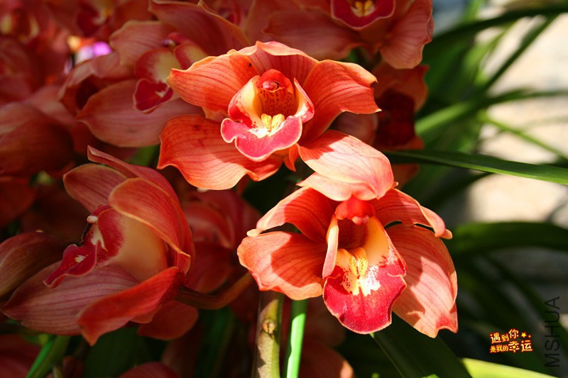 ��Ƭ 007_����.jpg