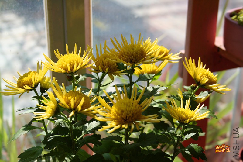 ��Ƭ 030_����.jpg