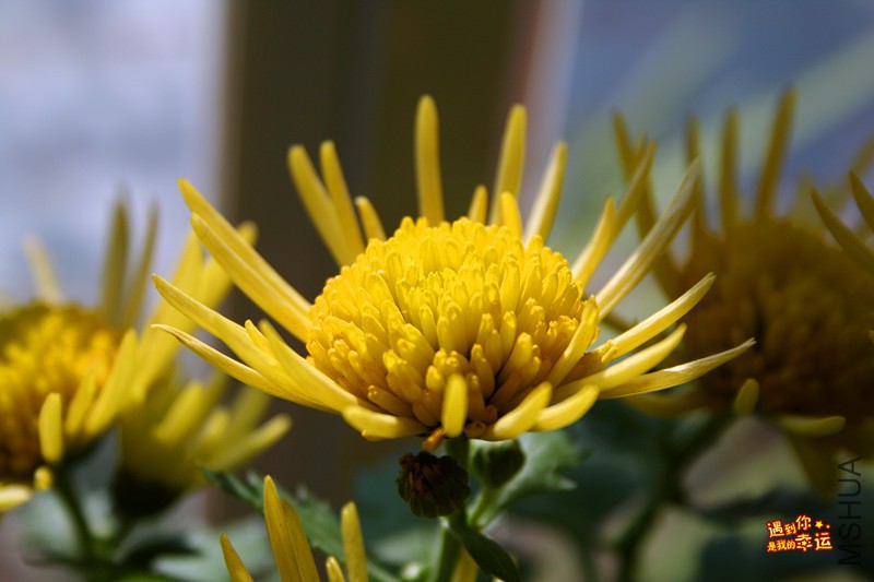 ��Ƭ 032_����.jpg