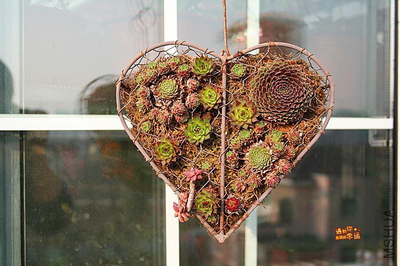 ��Ƭ 244_����.jpg