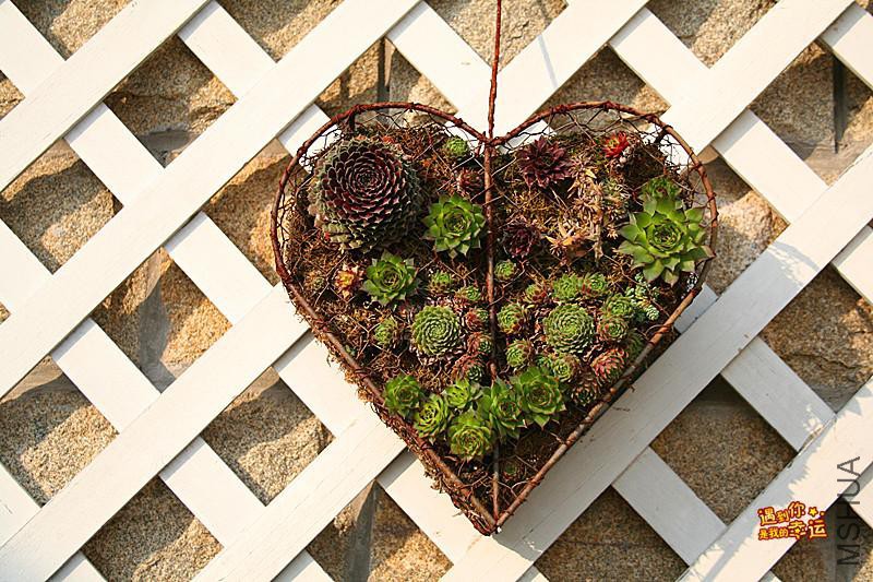 ��Ƭ 245_����.jpg