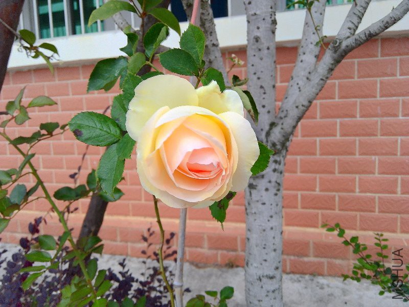 ���˵㣬�治����