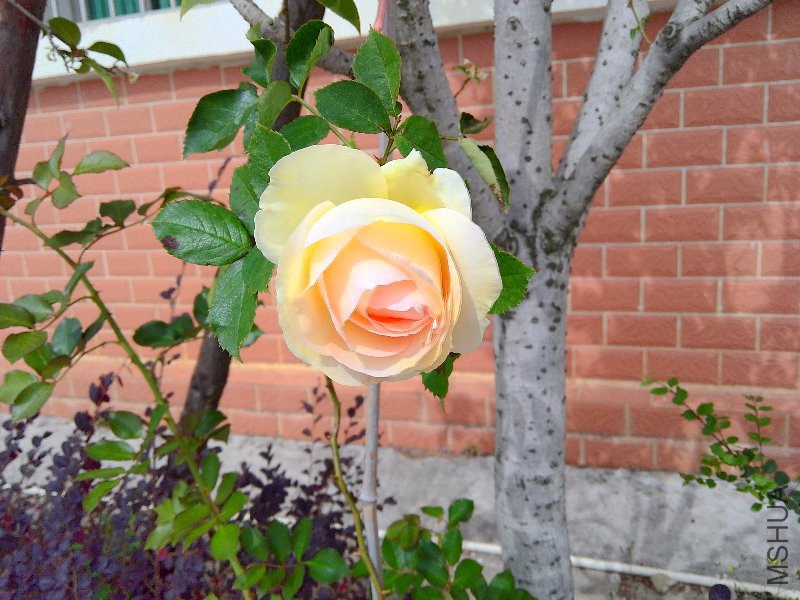 ���۵ĸо���