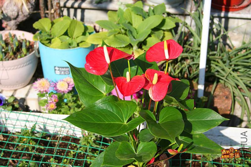 ��Ƭ 164_����.jpg