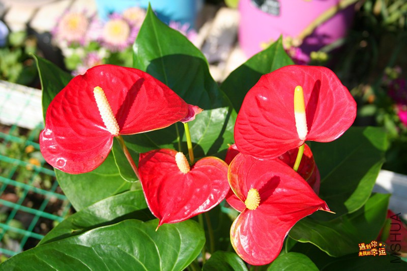 ��Ƭ 165_����.jpg