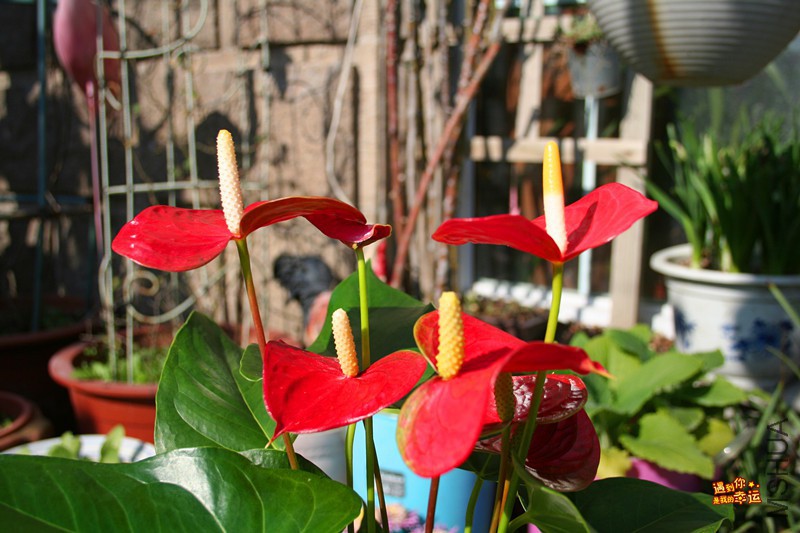 ��Ƭ 168_����.jpg