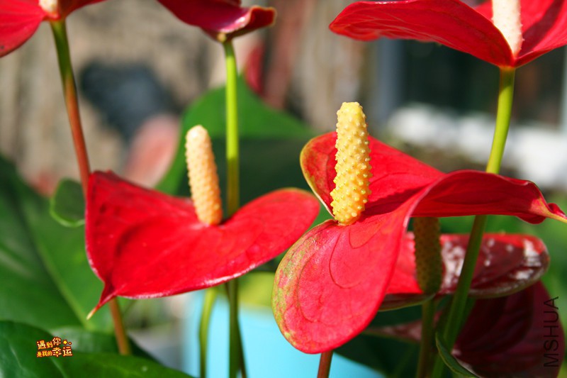 ��Ƭ 172_����.jpg