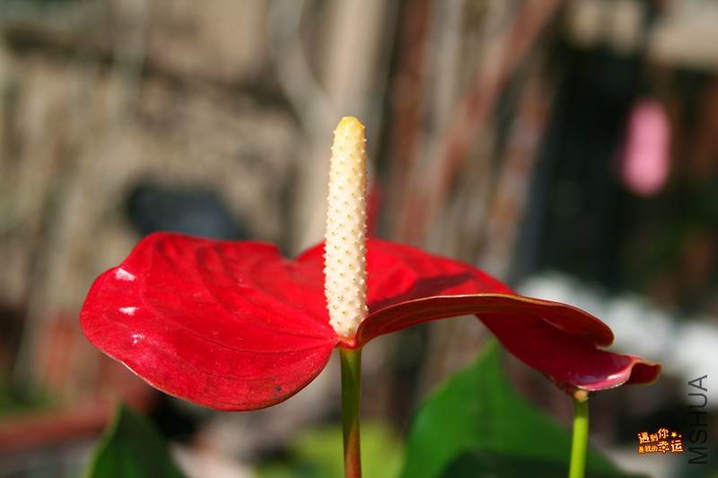 ��Ƭ 174_����.jpg