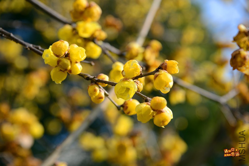 ��Ƭ 195_����.jpg