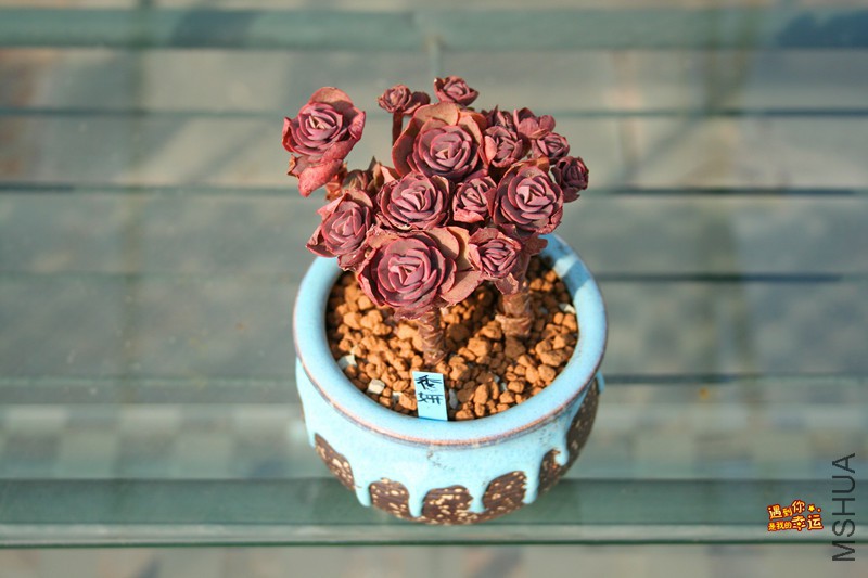 ��Ƭ 167_����.jpg