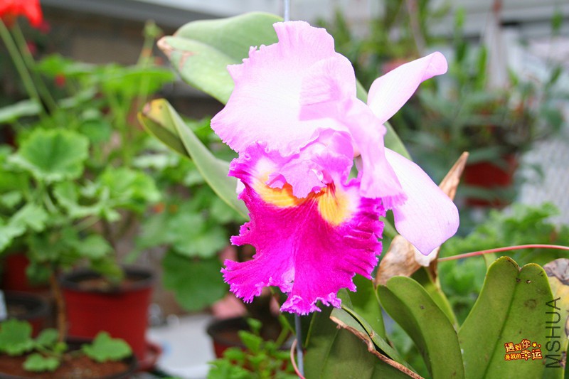 ��Ƭ 067_����.jpg