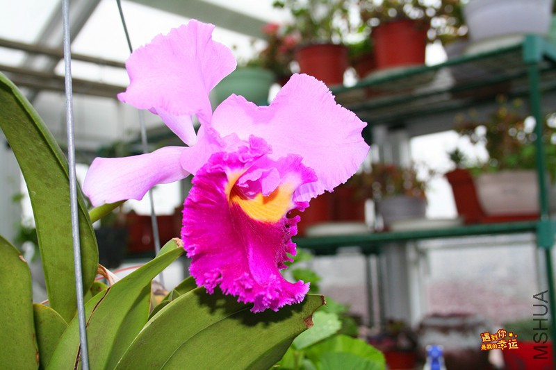 ��Ƭ 070_����.jpg