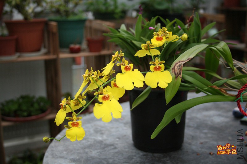 ��Ƭ 058_����.jpg