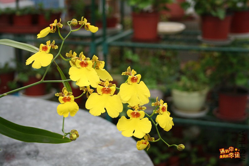 ��Ƭ 059_����.jpg