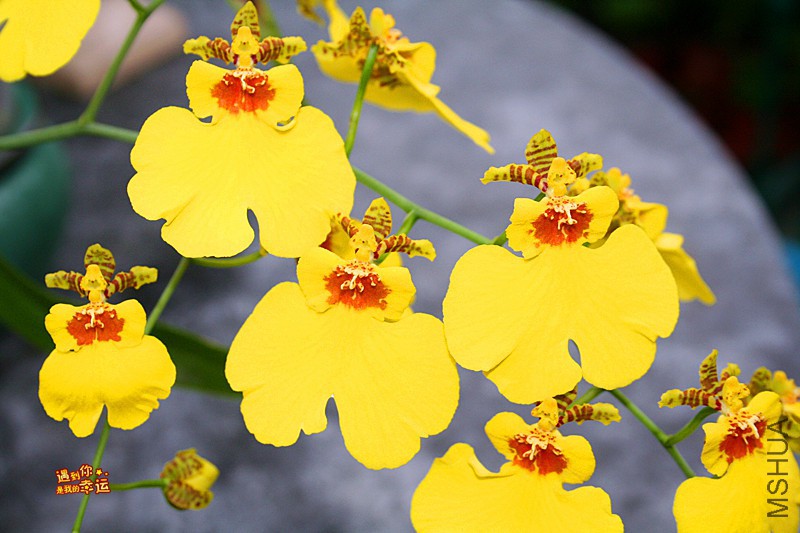 ��Ƭ 061_����.jpg