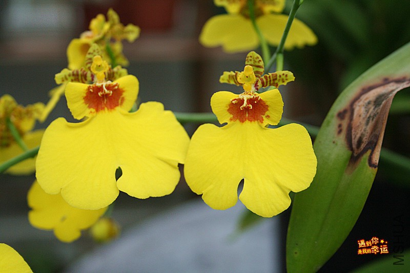 ��Ƭ 063_����.jpg